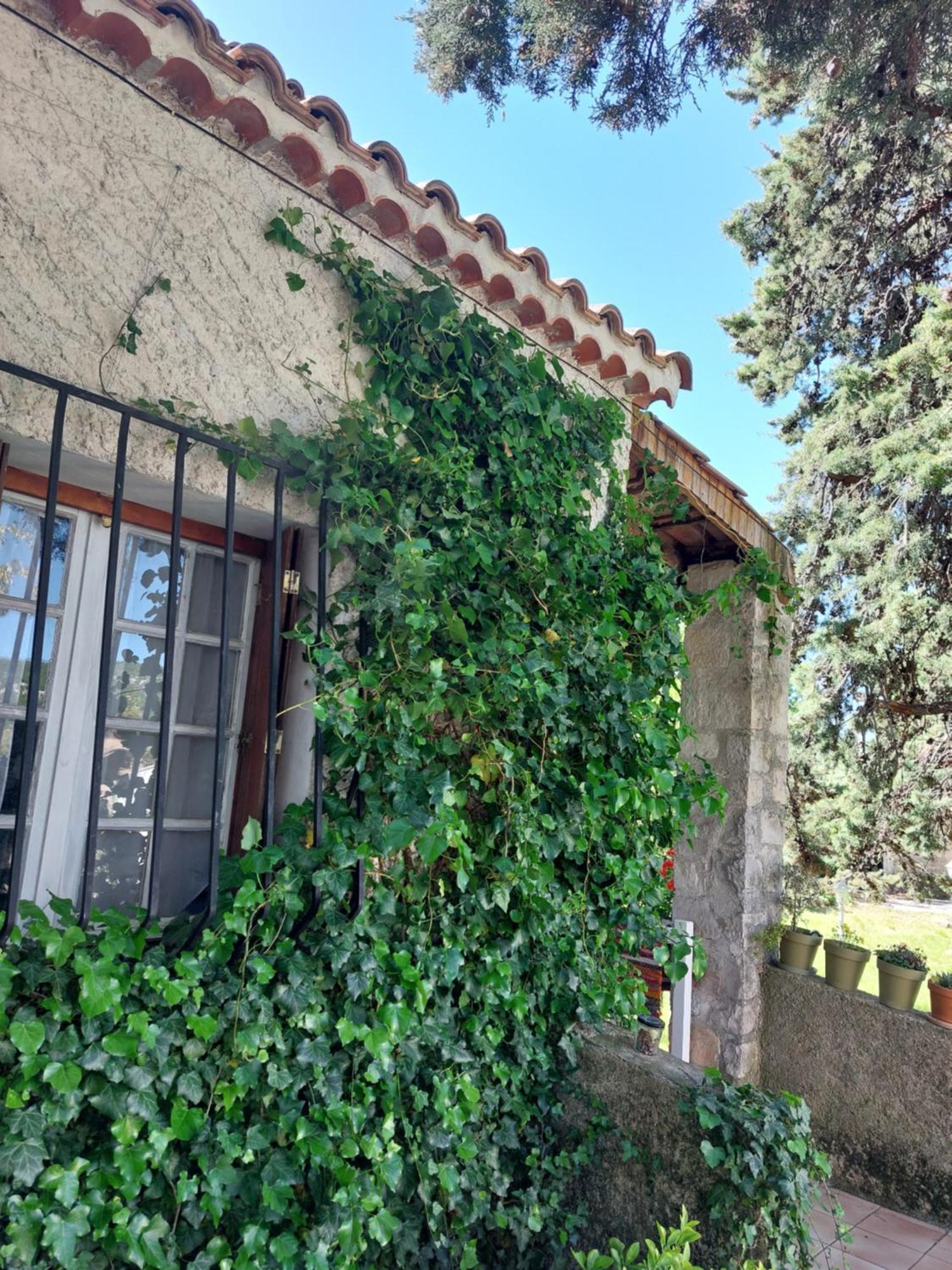 La Maison De Marie-Jeanne - Le Rocher D'Ongles Bagian luar foto